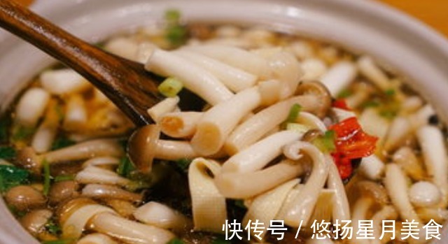 做蘑菇时,要不要焯水教你正确做法,蘑菇鲜香劲道,有嚼劲!