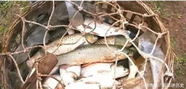 恍然大悟|刘伯温死前,曾赠予朱元璋一筐鱼,17年后朱元璋才恍然大悟