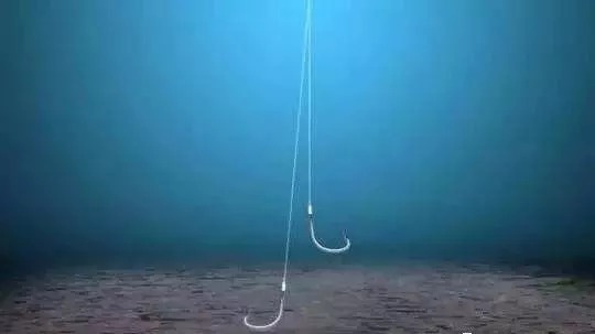 子线|一直钓不到大鱼是有原因的,因为你不会用铅皮,赶紧学下正确用法