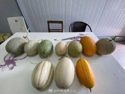 博士|“每天要吃100只！”男博士加班“吃瓜”：嘴巴都不是自己的了