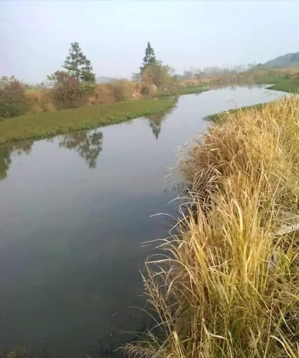 被钓“烂”的钓点该怎样钓?用这4招,钓友都羡慕的不行!