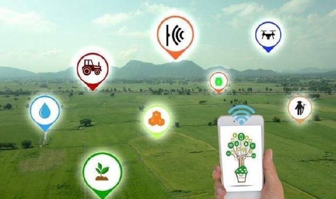 业国际中心|AI助检测香蕉6大生长威胁