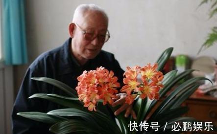 这“2种”肥,君子兰吃了,叶子油亮长得壮,花剑猛冒开花旺!