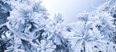 雪景|河北雪景到底有多美