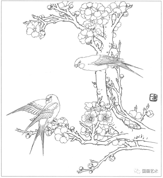  工笔|分享一组工笔花鸟白描
