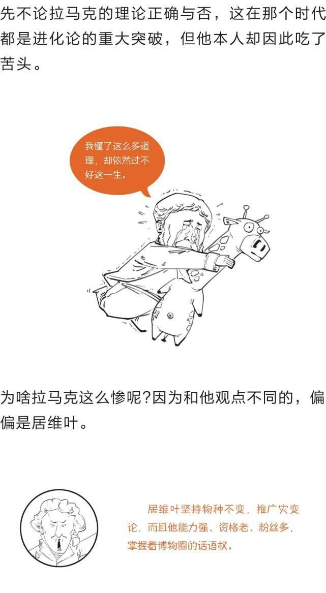 学了这么多年的进化论，竟然都理解错了？