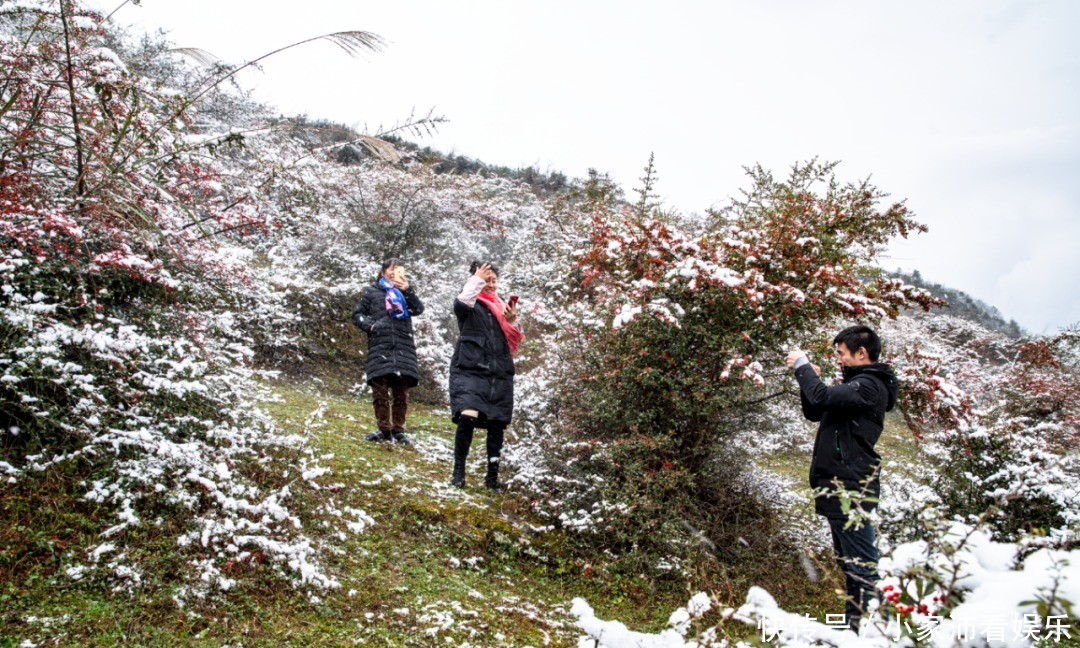 重庆主城|下雪了！雪玉山今冬第一场雪已“到货”，美景刷爆朋友圈！