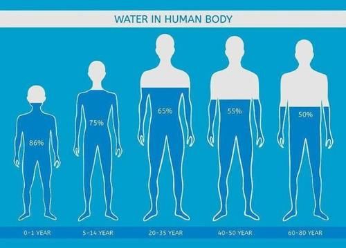 决定水摄入量的主要因素有哪些？