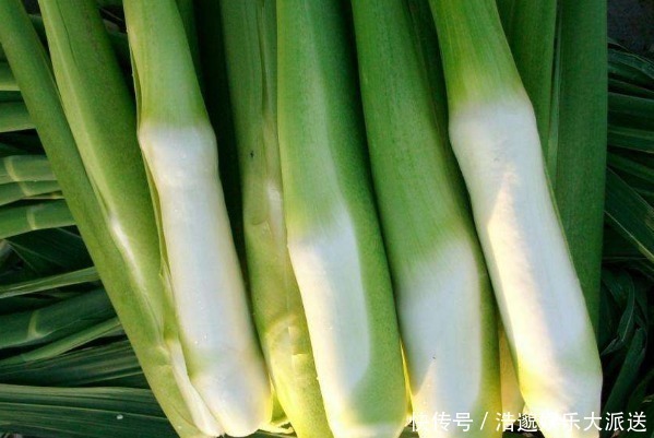 豆腐|夏天吃豆腐要谨记“4个不要”，吃错了不仅没营养，还危害健康