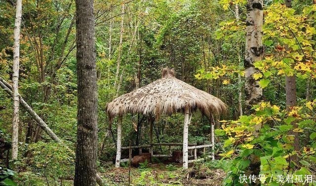 哈束力@历史上西丰经过多次开垦,几次失败后,为清末完全弛禁埋下了伏笔