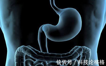 灌南|胃不好折磨人?多吃此几物,修复胃黏膜,胃病或不告而别