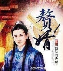 赘婿!六本追的很痛苦的网络小说,写的很好但是更新实在太慢