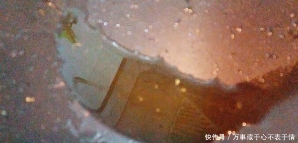 它是不打农药的菜,堪称“脑黄金”,肉都比不上,常吃健脑益智