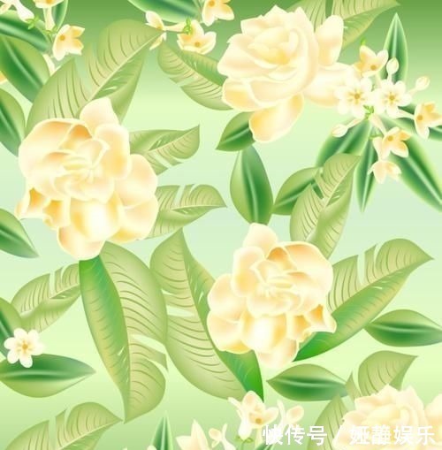 茉莉花|这种皮做成的肥水,养茉莉花,一个月长花苞,连开两次