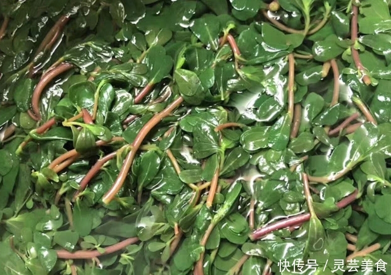 菜籽油|6成人瞧不上,却是“清肠高手”,准时上厕所,悄悄瘦回小蛮腰