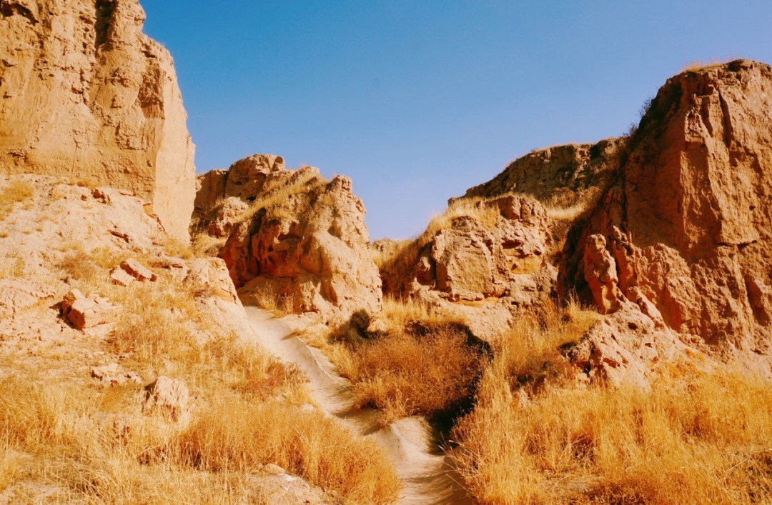 脚踏|一路银川,水洞沟遗址脚踏黄土来,机关四起藏兵洞