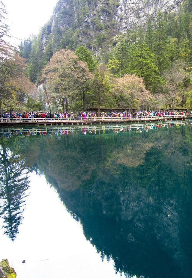 焦距|九寨沟名扬四海，但不适合走马观花，请跟随镜头仔细看看