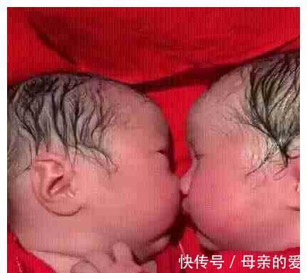 尿不湿|龙凤胎兄妹出生后一直亲，护理人员都没办法分开，画面太暖心了
