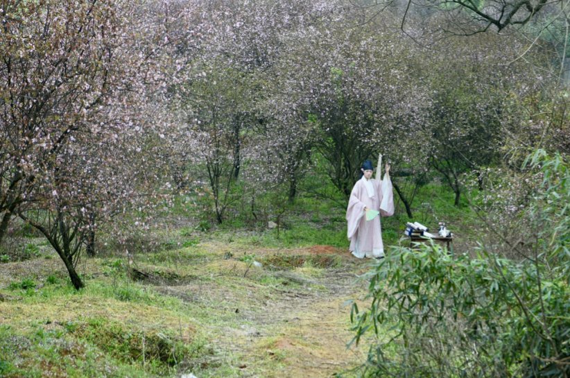 长沙周末踏春赏梅，这个好地方你可能不知道