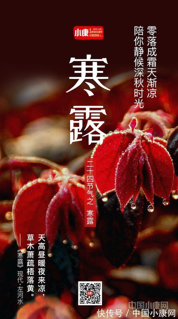 翠竹亭亭!万物有时 岁月成诗:打开二十四节气的另一种方式