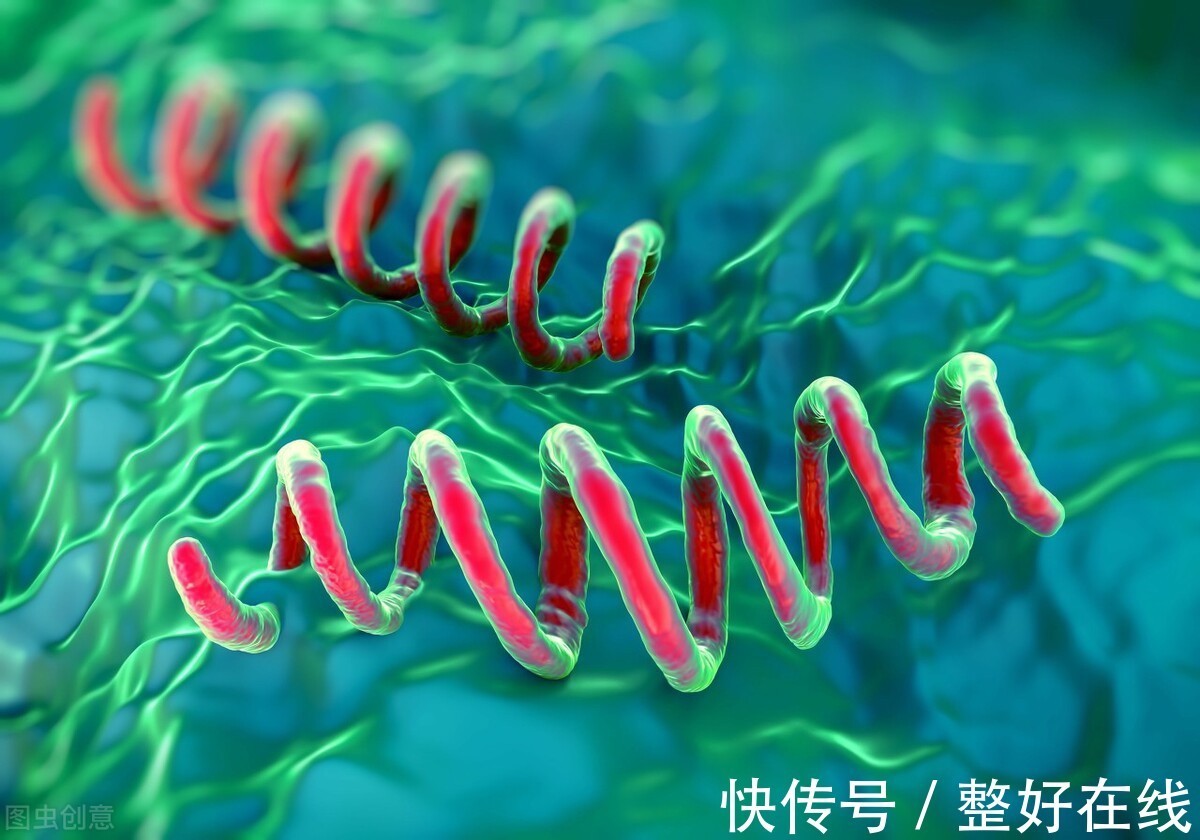 肾炎|5个医生常讲的肾炎发病缘由,日常注意5个预防小妙招,远离肾病