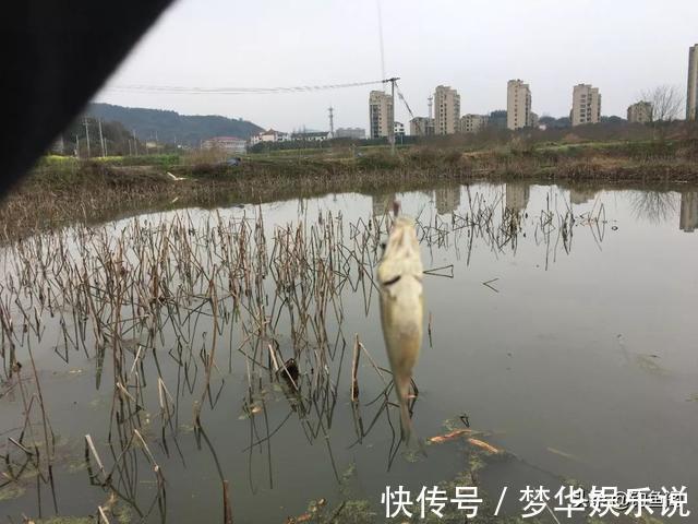 长竿|冬季野钓多久能发窝?别再傻傻等鱼来了,要学会主动出击