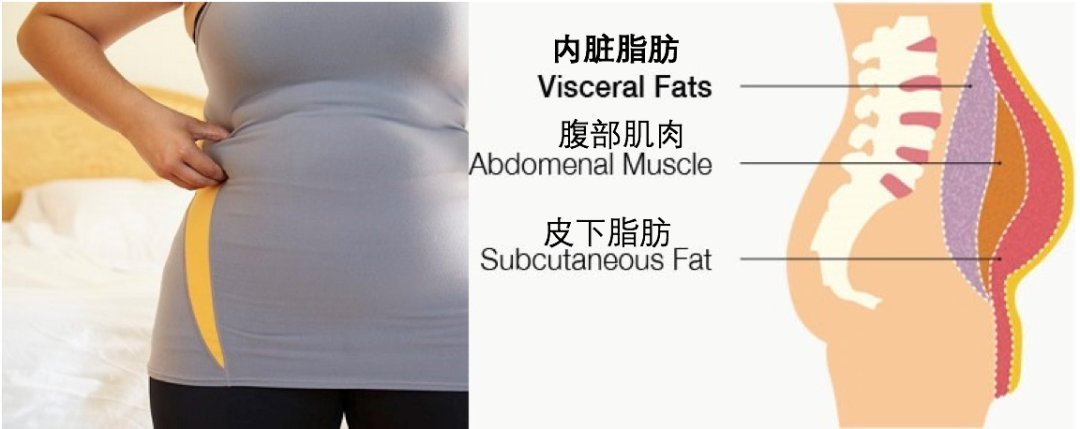 血橙|减肥≠减重？Yes，你更需要的是减脂——意大利西西里血橙提取物