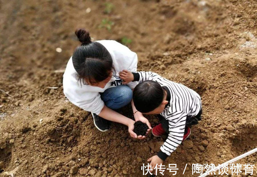 爸爸|告诉孩子:决定自己一生的不仅仅只有成绩,这五件事同样重要