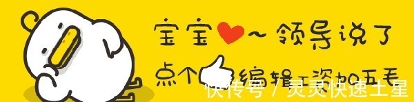 罗刹|斗罗大陆十大领域,最后一个你绝对不知道,一直被忽视