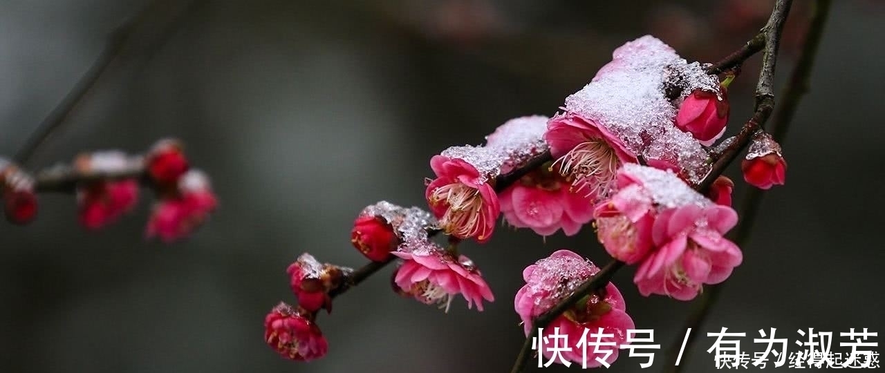 寒食节！晚唐最美艳的一首七绝，一开篇就惊艳世人，全诗更是美地令人心醉