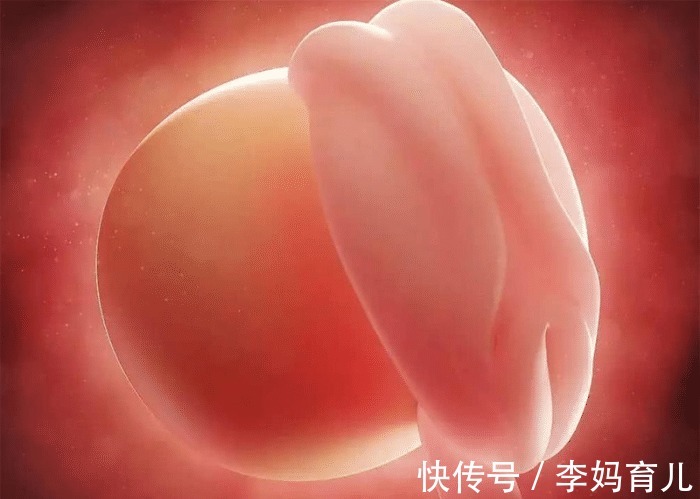 怀孕|为什么越来越多的人胚胎停育?