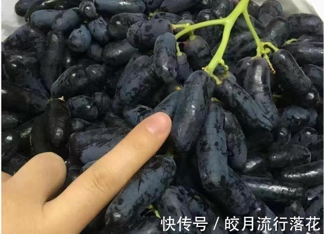 好吃|家里有阳台院子,这种果实别嫌弃,又好看又好吃,你见过吗!