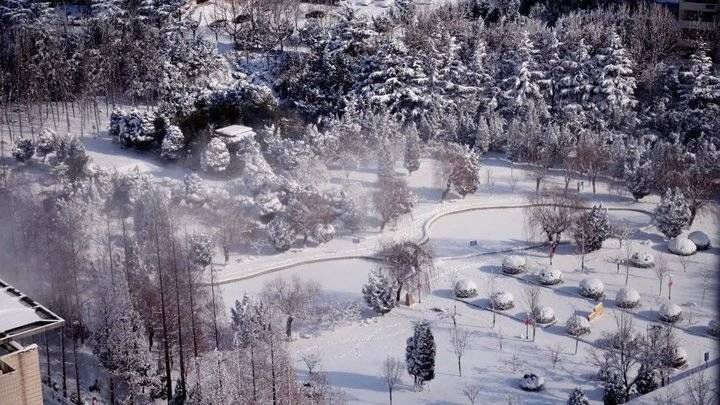 鲁东大学这场雪！太！大！了