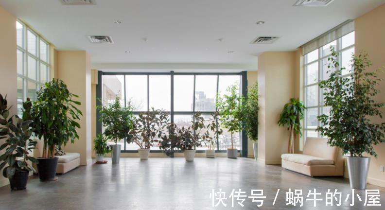花草|盆栽养花如何预防烂根？从这4方面下手，几率一降再降