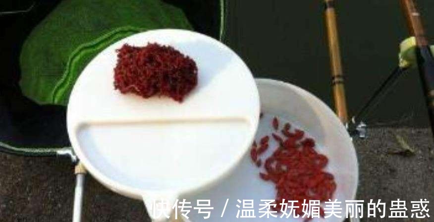枸杞|钓鲤鱼最好的饵料不在渔具店,而在菜市场,这三样东西混合就行