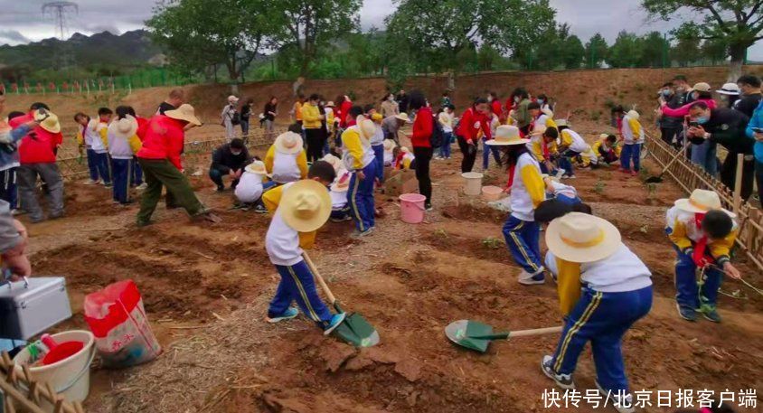 基地|走进田野亲近大地、亲手播种体验劳技……北京“劳动大学”开学啦