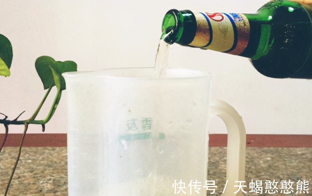 养花用啤酒,该怎么帮助根叶成长,改善土壤排水透气性?