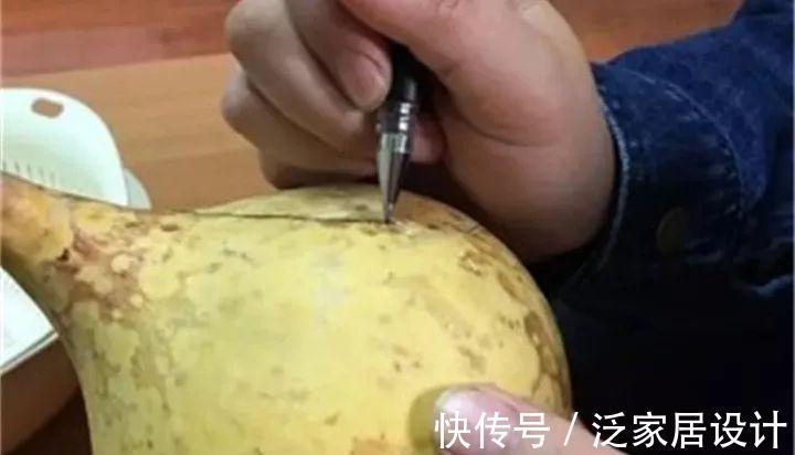 叶插|用葫芦种多肉，一养就是三年，邻居给钱都不卖