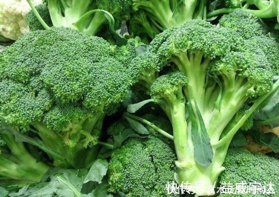 身体健康|4个炒之前必须焯水的蔬菜,为了家人身体健康,再懒这步都不能省