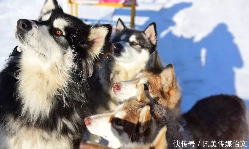  中国|零下63℃？这就是中国冷极村，看看当地人是怎么生活的！