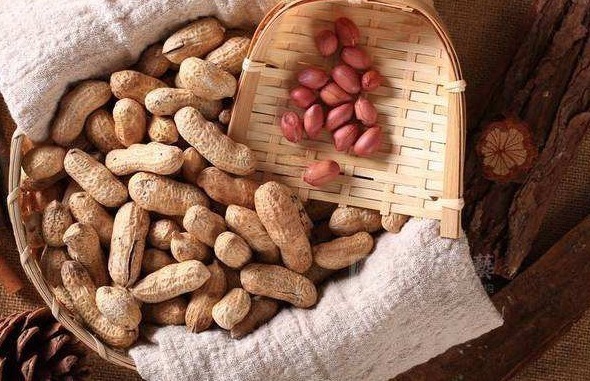 花生|花生吃对是长寿果,吃错就是“催命符”,爱吃的人要注意