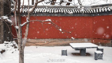 初雪|初雪遇大寒 瑞雪兆丰年