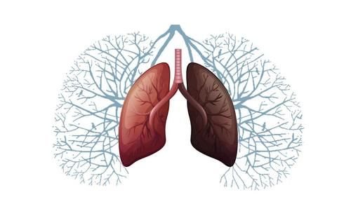 肺部|秋季干燥肺易生病？学会养肺3步法，养肺养生两不误