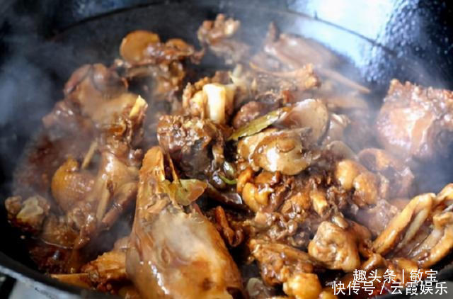 大鹅炖不烂,腥味还重学学东北人的做法,鹅肉软烂入味还不腥!