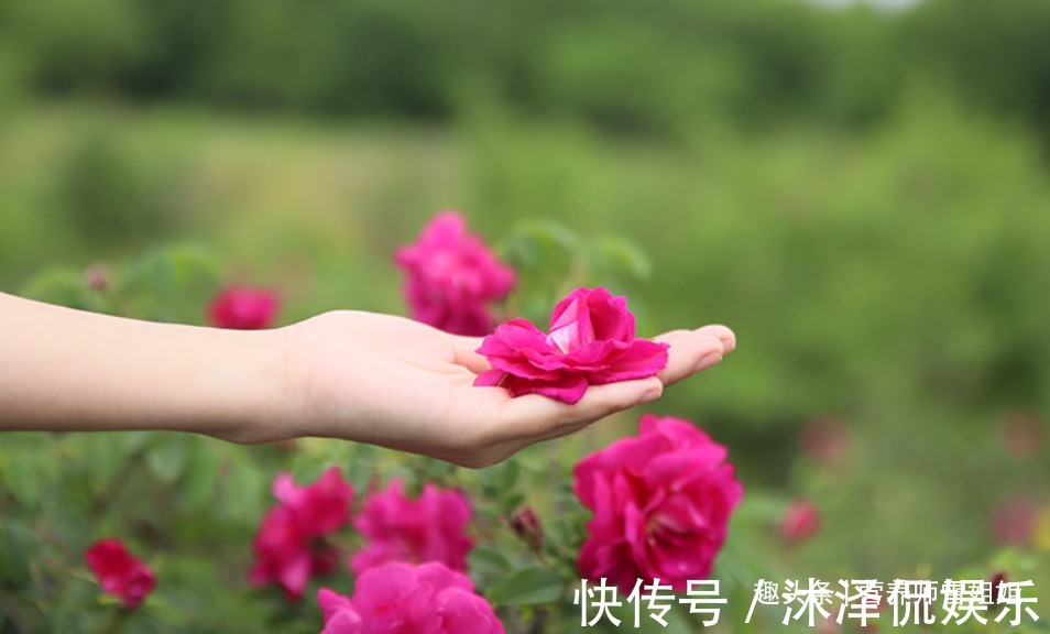 黄谷丁根|初春养肝,多吃二菜,勤饮三水,做好四件事,肝好一切都好