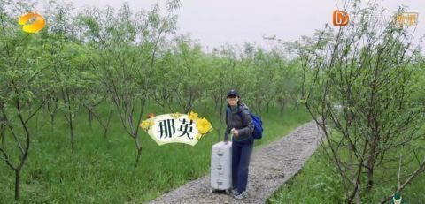 《向往5》导演担心请不到的嘉宾，却被张艺兴几句微信给轻松搞定