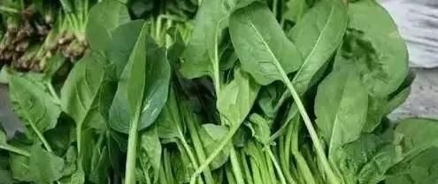  食物|皮肤差的女性要会吃，常吃3食物，排毒养颜，调经补血，营养滋补