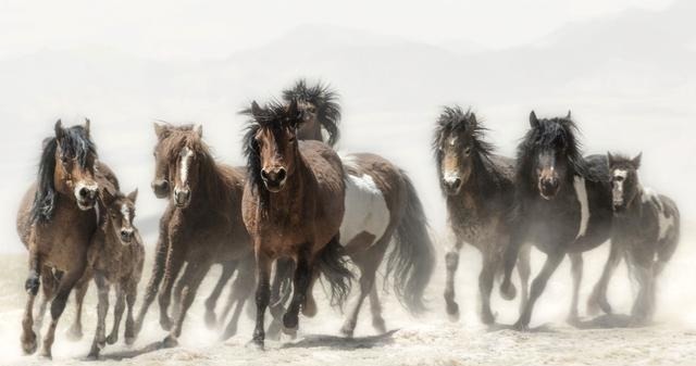 愚公移山图#徐悲鸿看中一幅画,用20个四合院的钱买下,现在画值50亿