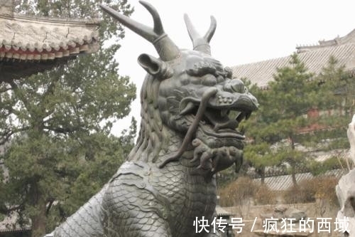 母亲$为什么龙的九个儿子,没有一条是龙?看看龙的妻子,你就知道了