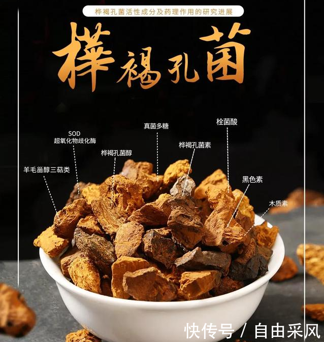 研究表明 专家发现白桦茸成为糖尿病降糖首选 是不是真的 快资讯